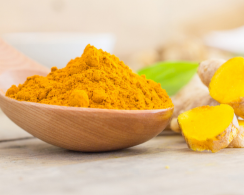 Export HDPE Fencing Mesh