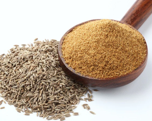 Export HDPE Fencing Mesh