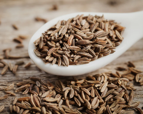 Export HDPE Fencing Mesh