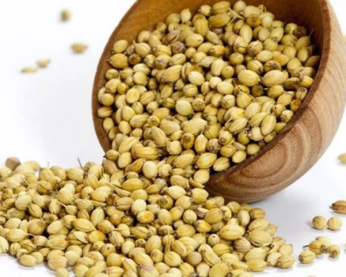 Export HDPE Fencing Mesh