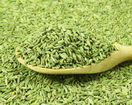 Export HDPE Fencing Mesh