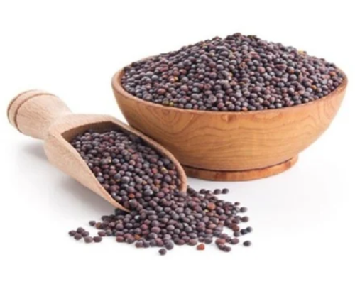 Export HDPE Fencing Mesh